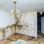 Photo of Water Damage Restoration - Westlake Village