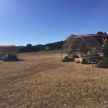 Art+Science Cider & Wine - Lots of space! - Wine Tasting Room Near Me - Sheridan, Oregon Art+Science Cider & Wine - Lots of space! - Wine Tasting Room Near Me - Sheridan, Oregon