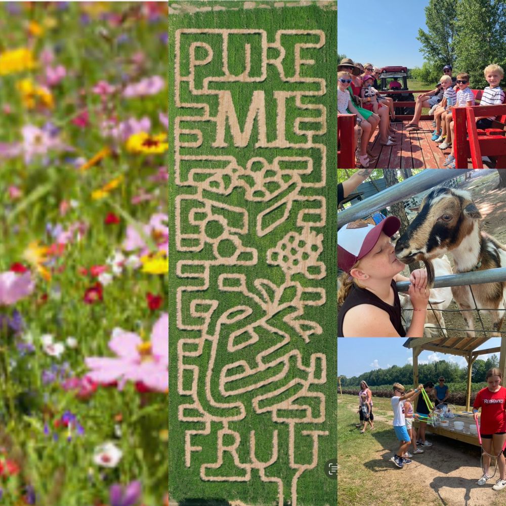 Bumbleberry Acres Logo