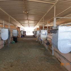 Scott's Stable - Inside mare motel