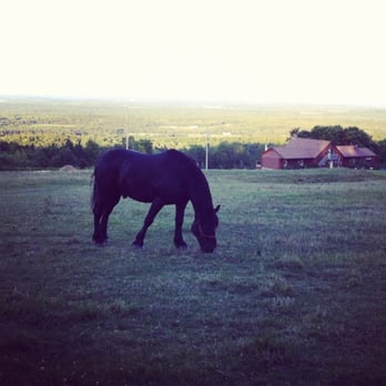 Stonehame Chalet - Your neighbor - Guest Houses Near Me - Scotsburn, Nova Scotia