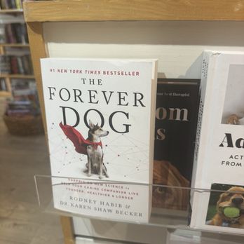 Dolly's Book Store - Bookstores Near Me - Park City, Utah