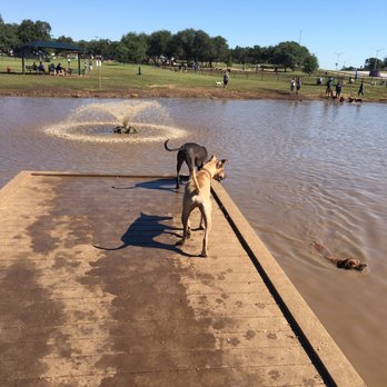 Cedar Bark Park - Deck for pups to jump in. Unfortunately mine didn't jump.... - Dog Parks Near Me - Cedar Park, Texas Cedar Bark Park - Deck for pups to jump in. Unfortunately mine didn't jump.... - Dog Parks Near Me - Cedar Park, Texas