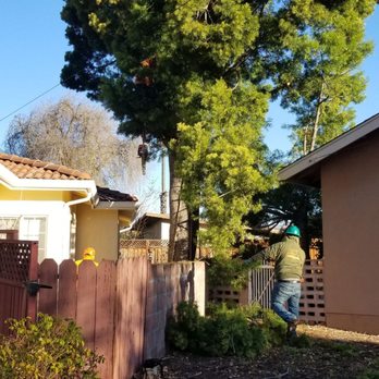 One Two Tree Care - Tree Services Near Me - Tracy, California