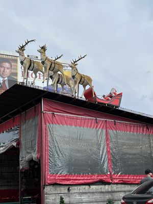 Lala's Little Nugget by null Lala's Little Nugget by null