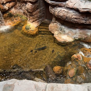 Bass Pro Shops - Looking Down at the AMAZING interior of this vast retail store. It's Fantastic! - Outdoor Gear Near Me - Las Vegas, Nevada