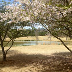 Stonebridge Golf Club