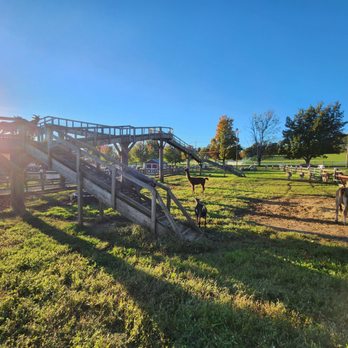 Alstede Farms - Fruits & Veggies Near Me - Chester, New Jersey