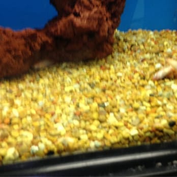 Petco - Pet Stores Near Me - Van Nuys, California Petco - Pet Stores Near Me - Van Nuys, California