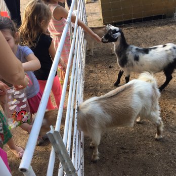 Rose and Grace Mini Farm - Day Camps Near Me - Austin, Texas