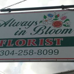 Always In Bloom