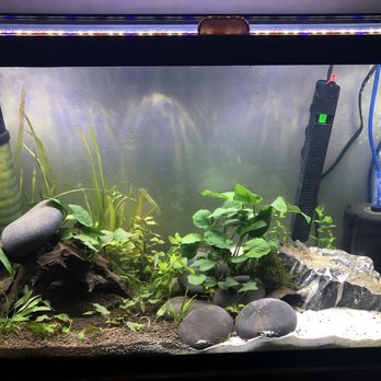 Aquarium Co-Op - Aquarium Services Near Me - Edmonds, Washington