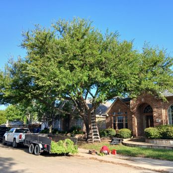 Ramos Tree Service - Tree Services Near Me - Dallas, Texas Ramos Tree Service - Tree Services Near Me - Dallas, Texas