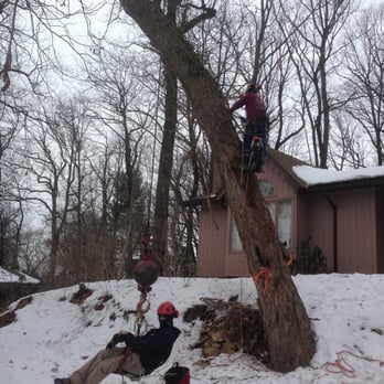 Jacob's Professional Tree & Shrub Care - Tree Services Near Me - Bethlehem, Pennsylvania Jacob's Professional Tree & Shrub Care - Tree Services Near Me - Bethlehem, Pennsylvania