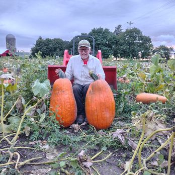 Davidson Giant Pumpkins - Pumpkin Patches Near Me - Harvard, Illinois Davidson Giant Pumpkins - Pumpkin Patches Near Me - Harvard, Illinois