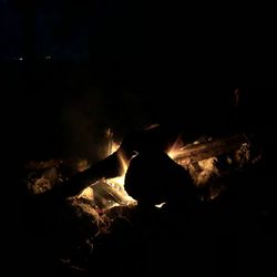 Camping!