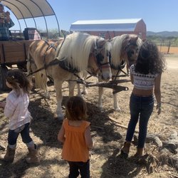 Major Hope Corral - Wagon Ride