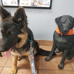 Choncheese met a friend -