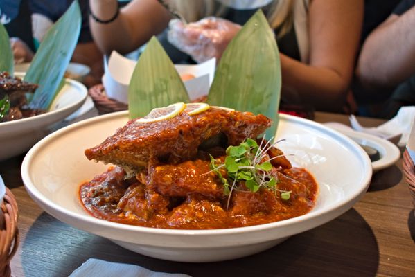 我是一只小辣蟹I'm a little hot crab by null