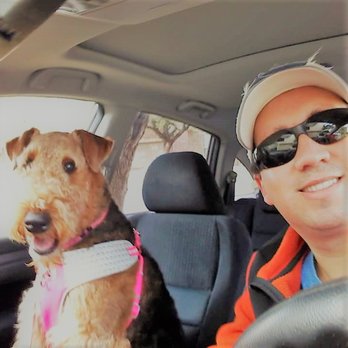 Austin Pet Sitting Services - Austin Pet Sitting Services - Pet Sitting Near Me