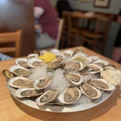 Oyster Boy