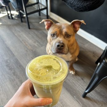 Chronic Coffee - Coffee & Tea Near Me - Indianapolis, Indiana