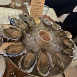 6 different kinds of oysters