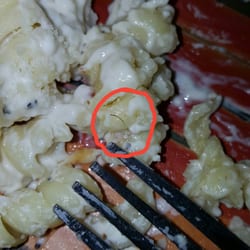 Pizza Hut - This was in my pasta from the pizza Hut in Reedsburg, WI