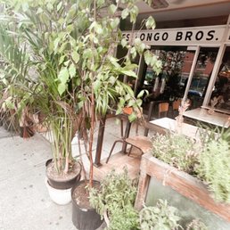 Outside Outside