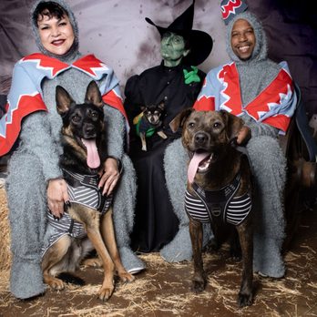 Foster Army Animal Rescue - Ghouls for Drools. Saturday, October 12, 2024 Photo Opportunity with The #WickedWitch Professional #Pet Pics by Ale at Oaks #Photography - Community Service/Non-Profit Near Me - Riverside, California Foster Army Animal Rescue - Ghouls for Drools. Saturday, October 12, 2024 Photo Opportunity with The #WickedWitch Professional #Pet Pics by Ale at Oaks #Photography - Community Service/Non-Profit Near Me - Riverside, California