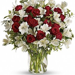 This is what i was suppose to get.