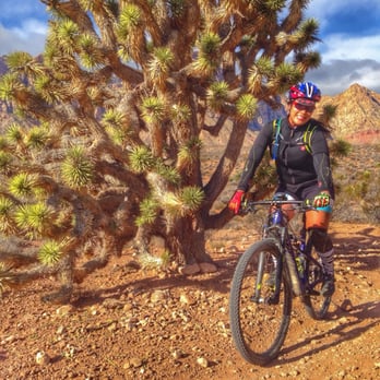 Blue Diamond Park - Ginormous Joshua trees off Daytona, Landmine, & ducky -- seriously flowy fun! Beginner like trails below the mountains - Parks Near Me - Blue Diamond, Nevada