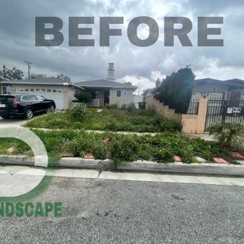 D Landscape & Hardscape - Before - Landscaping Near Me