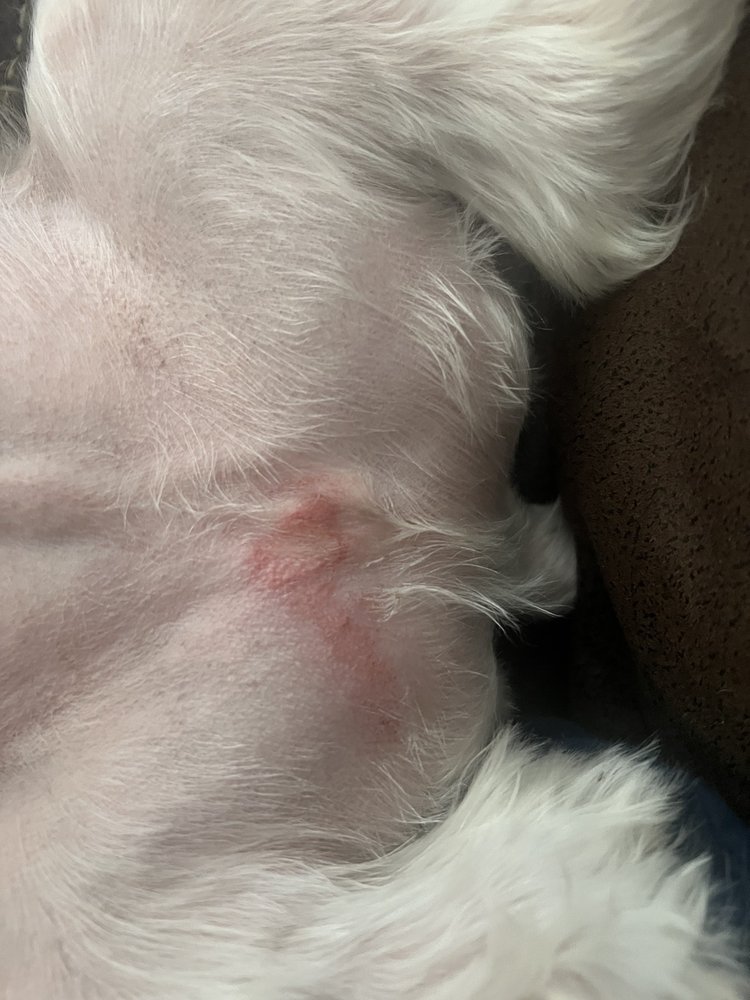 CINDY’S PHANCY PHYDEAUX Updated August 2024 21902 E 71st St S