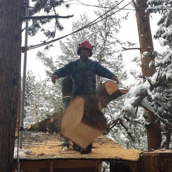 Foothills Arborists - Tree Services Near Me Foothills Arborists - Tree Services Near Me