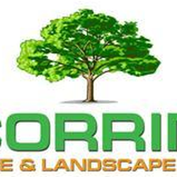 Corrin Tree & Landscape - Corrin Tree & Landscape Co logo