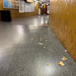 Bowdoin MBTA Station - Blue Line - Any train station is cleaner than NYC
