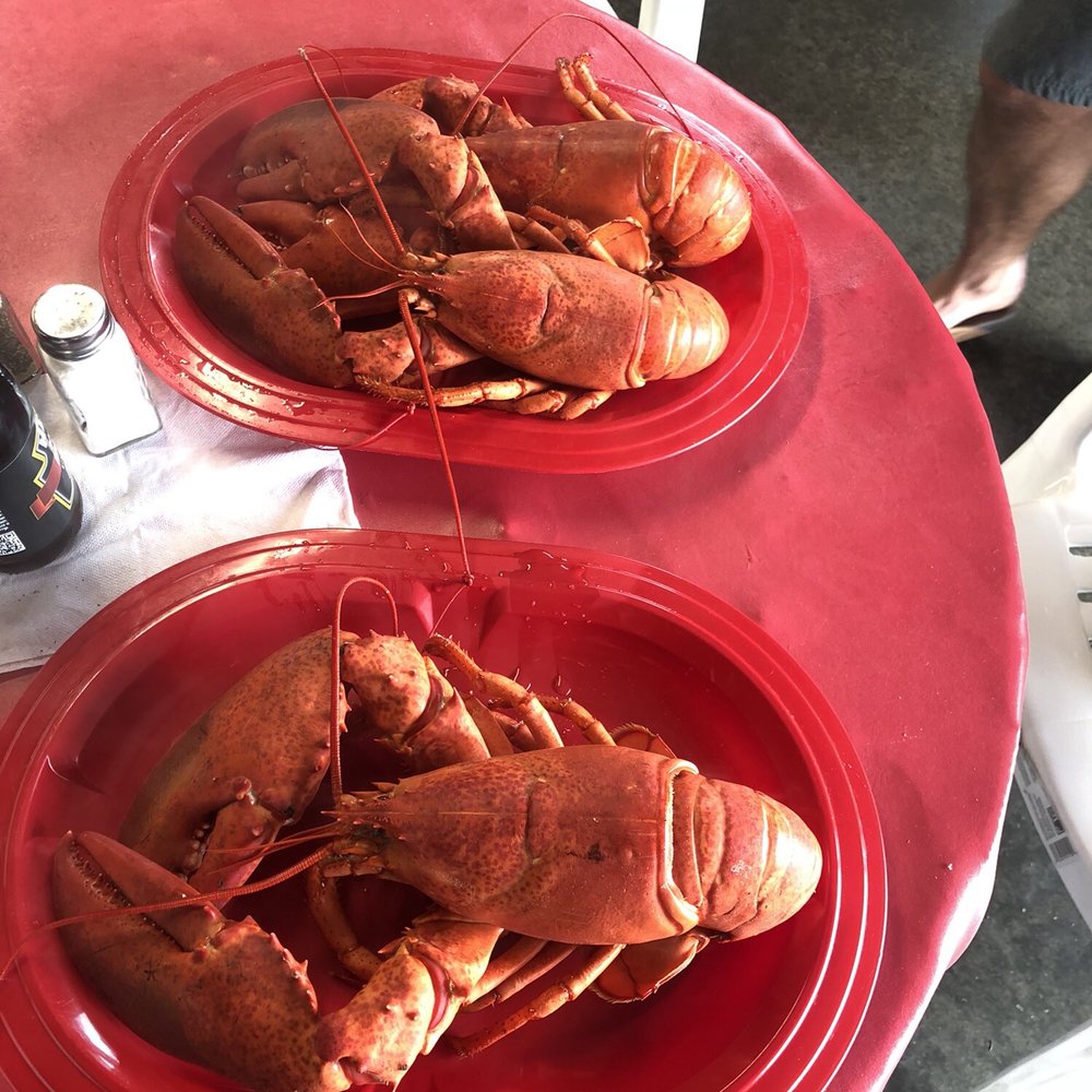 Erica's Seafood - Seafood Near Me - Harpswell, Maine Erica's Seafood - Seafood Near Me - Harpswell, Maine