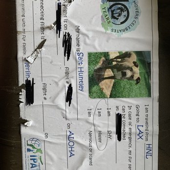 Island Pet Movers - label on top of kennel that IPM placed for travel :) - Pet Transportation Near Me - Honolulu, Hawaii
