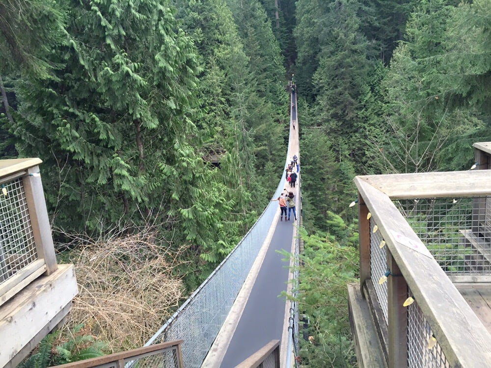 Are Dogs Allowed At Capilano Suspension Bridge
