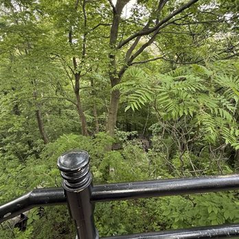 Parc du Mont-Royal - Parks Near Me - Montreal, Quebec