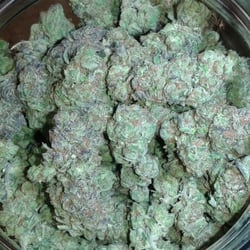 HIGRADE HOLISTICS