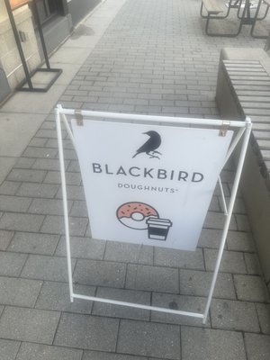 Blackbird Doughnuts Watertown by null