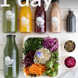 Little Bird Unbakery - Little bird's raw, alkalising and nourishing Cleanse Packs. Available in 1 or 3 or 5 days meal plan.