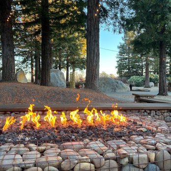 Sally Tomatoes - Fire pit & trees - Caterers Near Me - Rohnert Park, California Sally Tomatoes - Fire pit & trees - Caterers Near Me - Rohnert Park, California