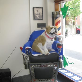Y Haircutting - Hair Salons Near Me - New Haven, Connecticut Y Haircutting - Hair Salons Near Me - New Haven, Connecticut