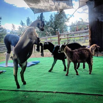 Vail Stables - Horseback Riding Near Me - Vail, Colorado