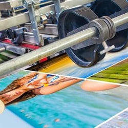 Vivid Signs & Designs