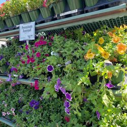Johnson's Garden Centers