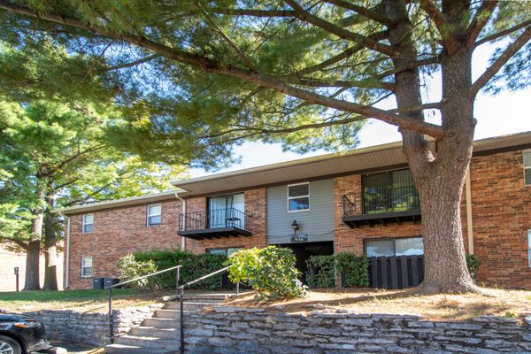 The Callaway by null